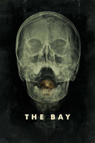 Bay