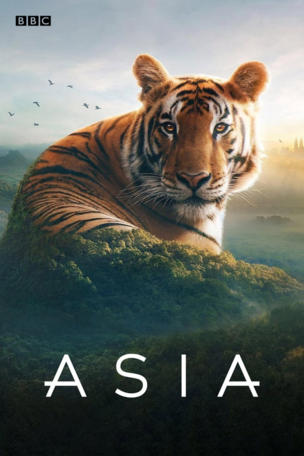Asia (2024)