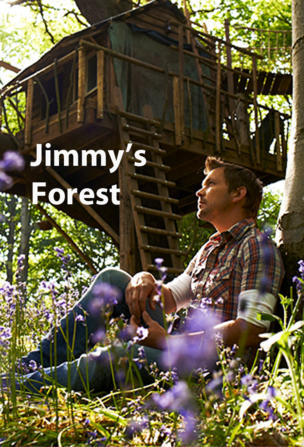 Jimmy's Forest_0000